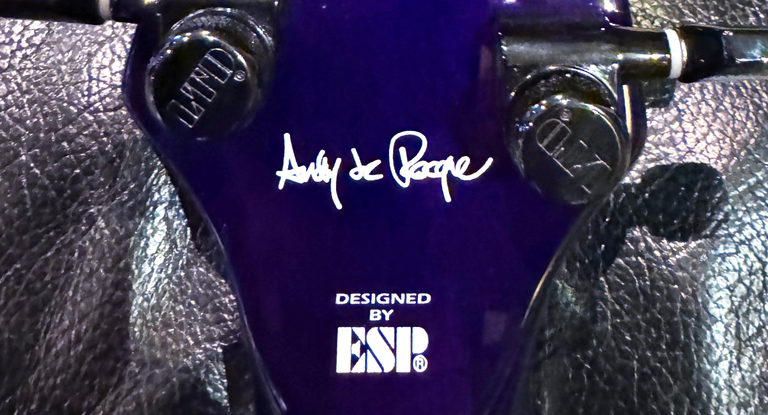 ESP LTD ALR-II — Andy La Rocque Signature Guitar detail
